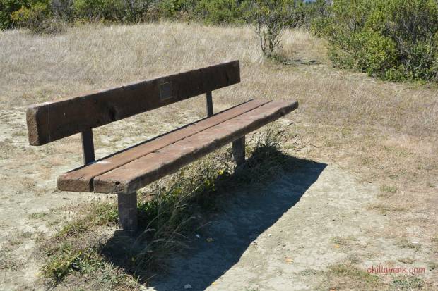 Park-Bench