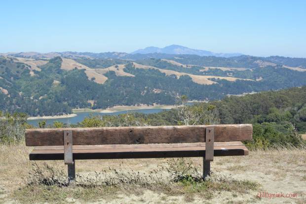 Tilden-Park-Bench