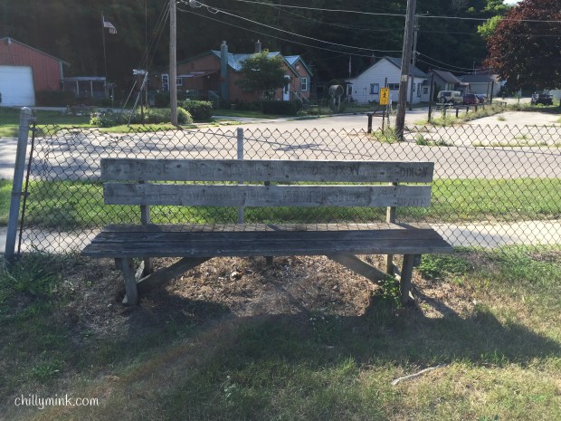 Chainlink Bench Michigan