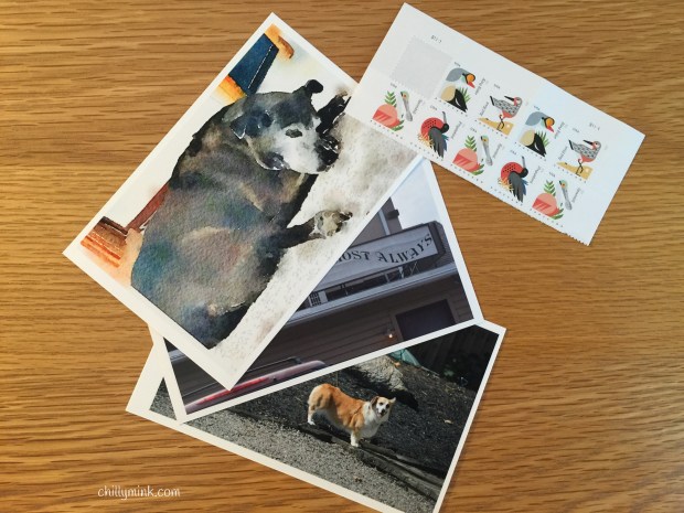 CM postcard grouping