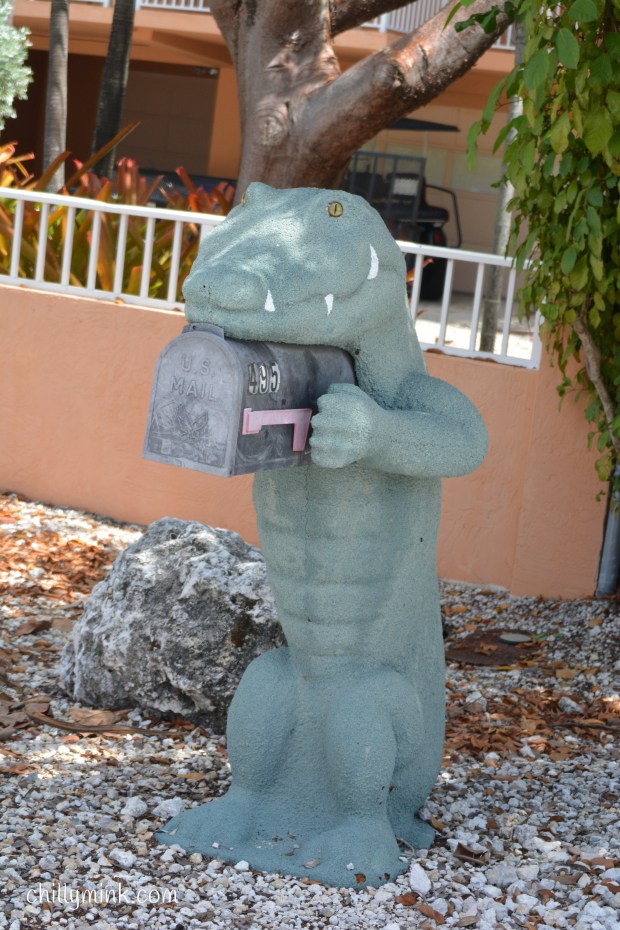 CM alligator mailbox