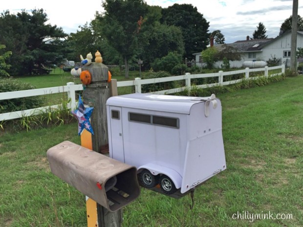 cm-horse-trailer-l-view_fotor