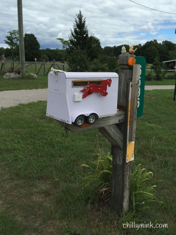 cm-horsetrailer-r-view