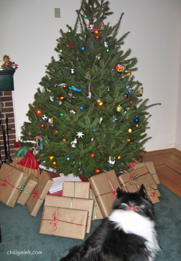 cm-christmas-tree-with-packagesfotor