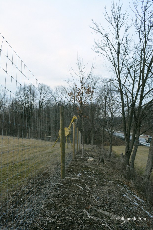 cm-giraffe-along-fence-cloudy-fotor