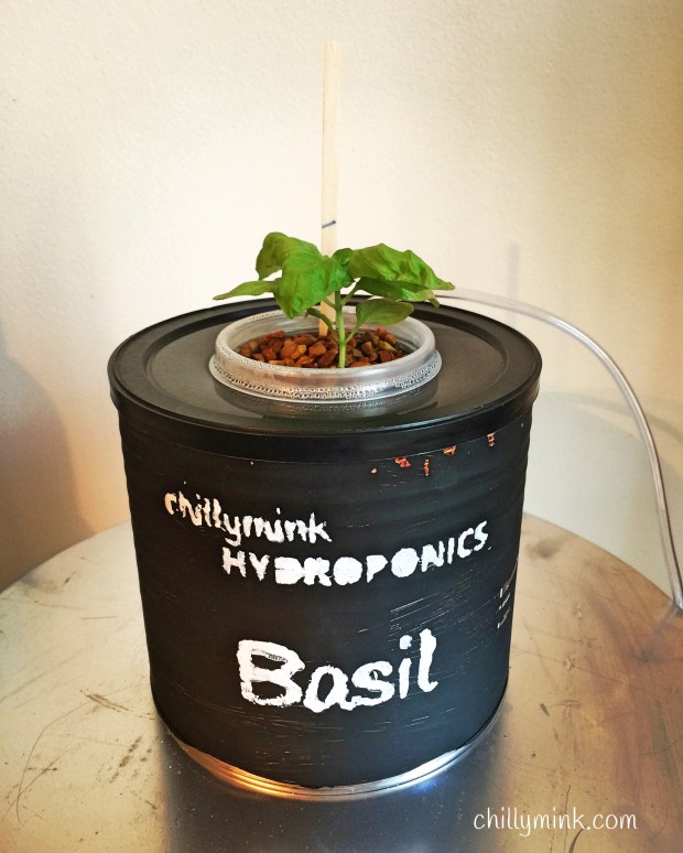 CM Hydroponics 6_Fotor