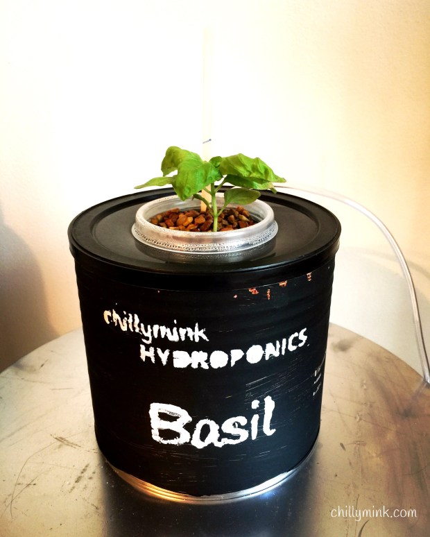 cm-hydroponics-basil_fotor
