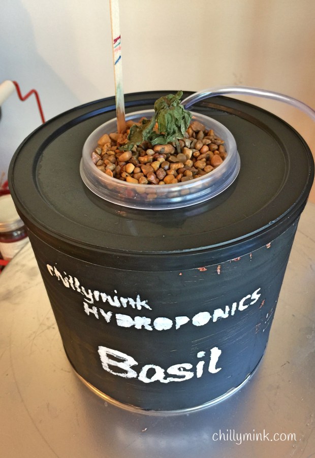 CM Hydroponics Final_Fotor