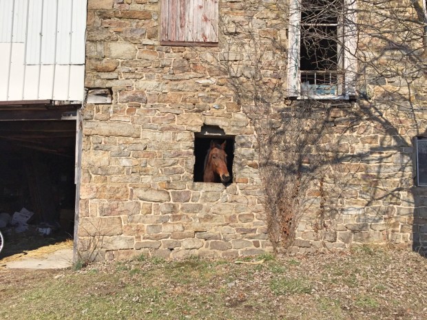 The Road Taken_Fotor.jpg