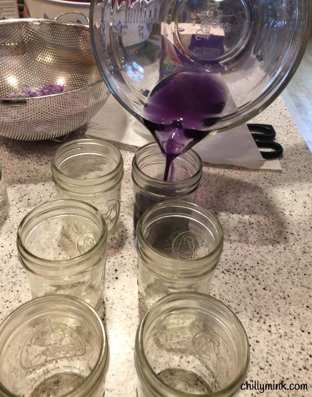 CM Color Purple Cabbage Pour Fotor