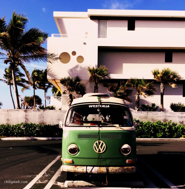 CM Slug Bug_Fotor.jpg